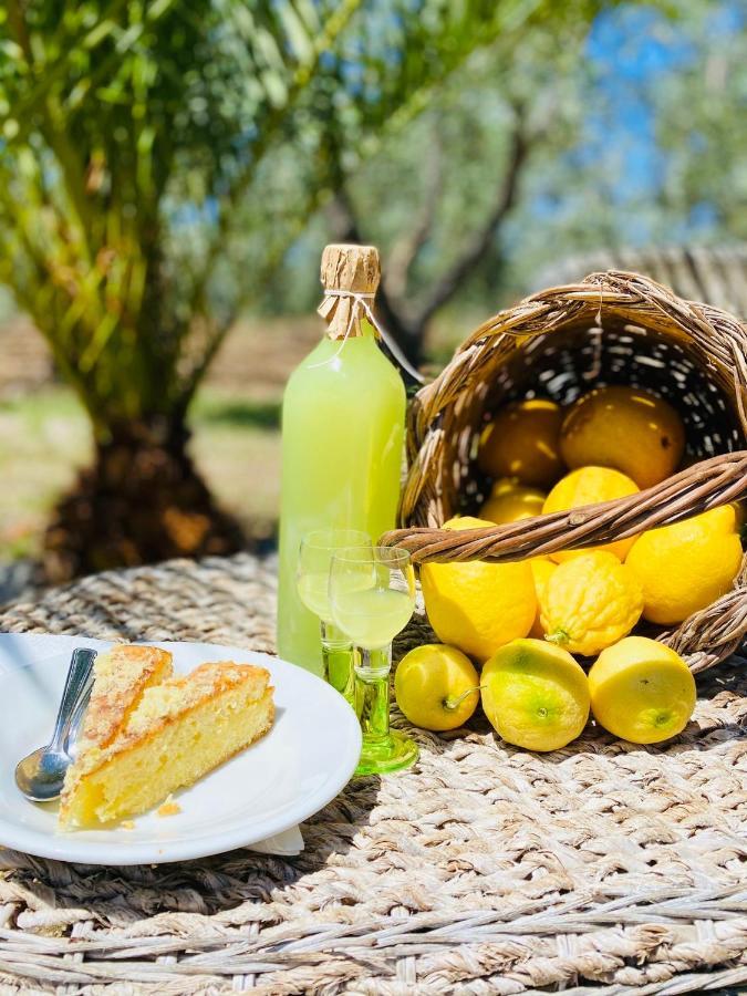 Agriturismo Azzarone 비에스테 외부 사진