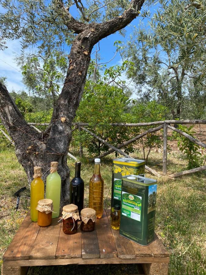 Agriturismo Azzarone 비에스테 외부 사진