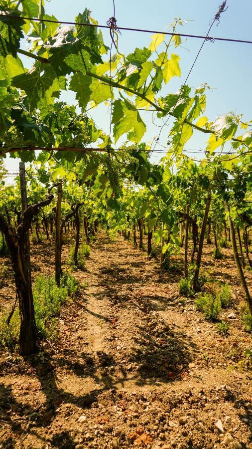 Agriturismo Azzarone 비에스테 외부 사진